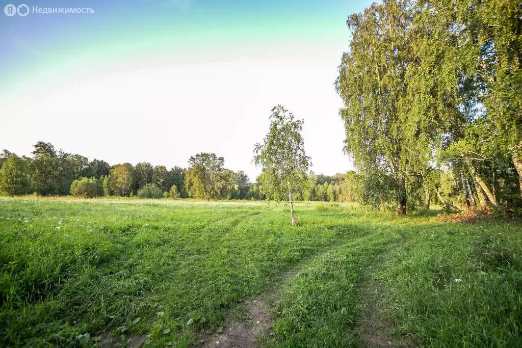 Участок в Бердск, СНТ Ива, 18-я улица (6 м) - Фото 2