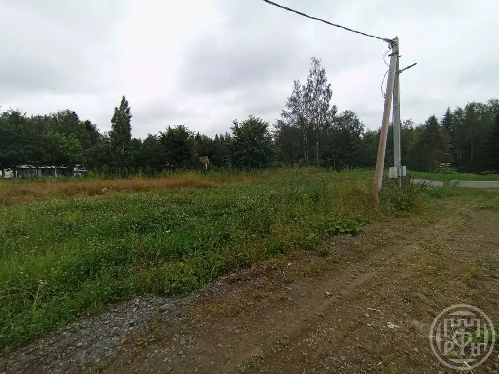 Участок в Ленинградская область, Всеволожский район, Агалатовское ... - Фото 0
