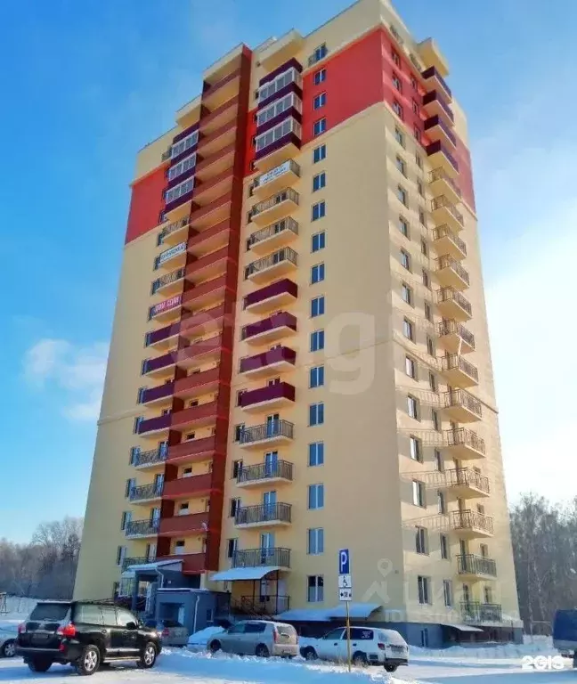 Помещение свободного назначения в Новосибирская область, Новосибирск ... - Фото 1
