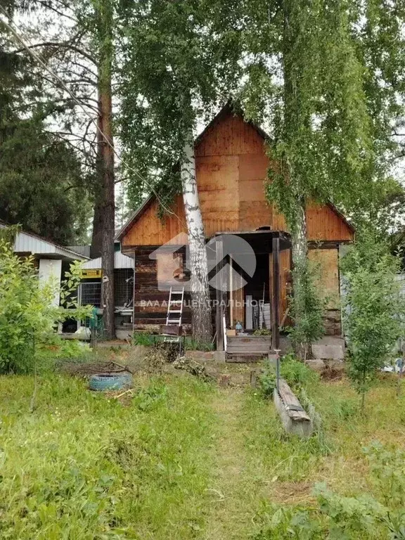 Дом в Новосибирская область, Новосибирск Сибиряк садовое товарищество, ... - Фото 2