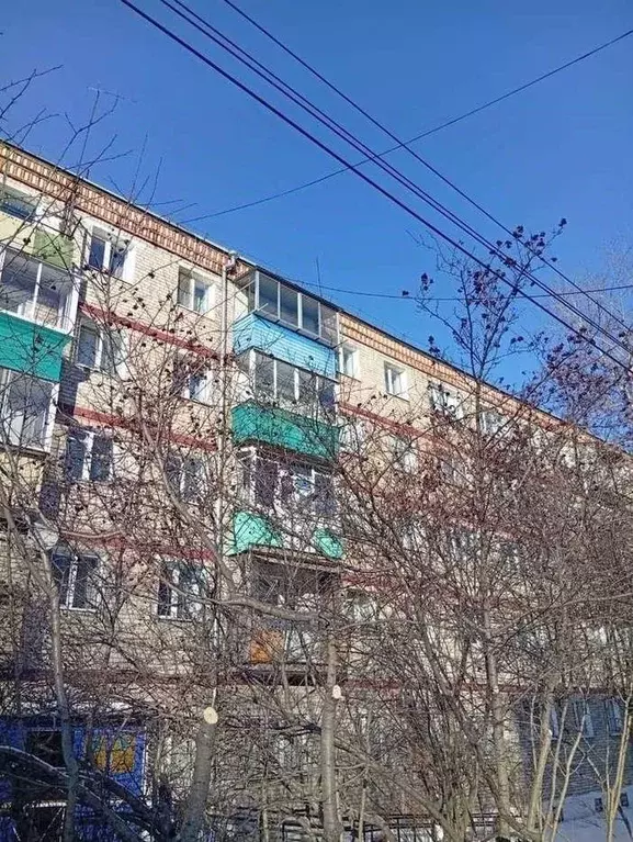 2-к кв. Амурская область, Сковородино Красноармейская ул., 5 (42.9 м) - Фото 1