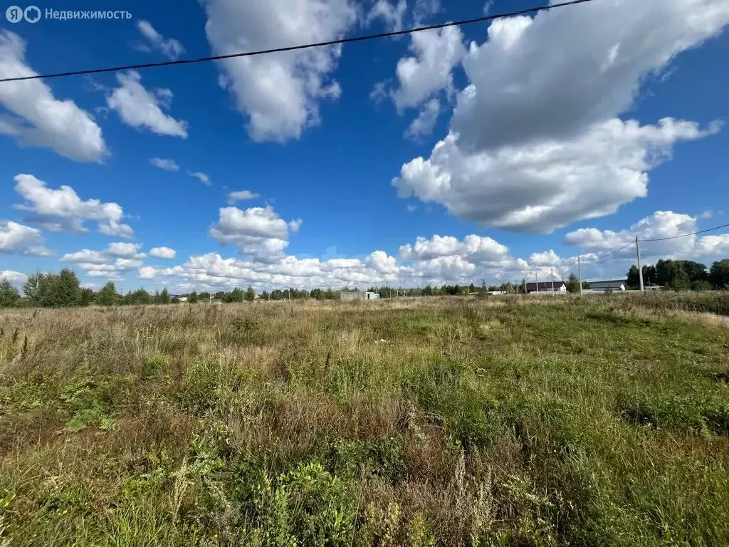 Участок в Новосибирская область, рабочий посёлок Коченёво (9.9 м) - Фото 2