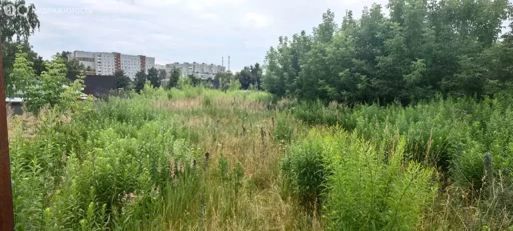 Участок в Тула, посёлок Рогожинский (10.57 м) - Фото 2