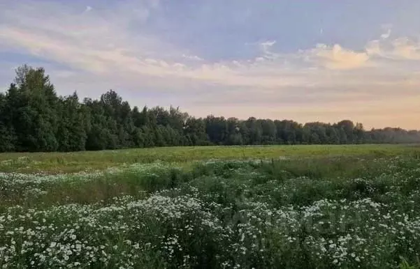 Участок в Ленинградская область, Выборгский район, Полянское с/пос, ... - Фото 1