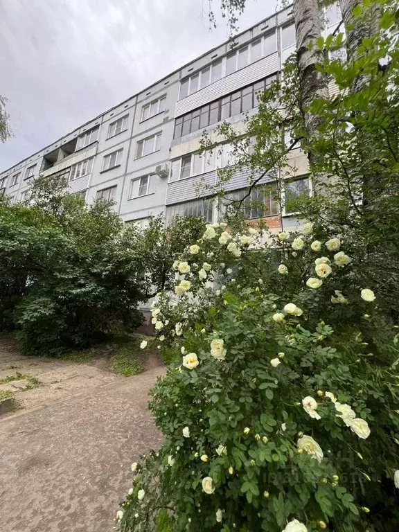 3-к кв. Псковская область, Псков Звездная ул., 2 (66.0 м) - Фото 1