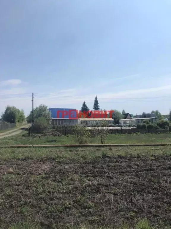 Участок в Новосибирская область, Коченевский район, Ветеран-1 ДНТ 665 ... - Фото 0