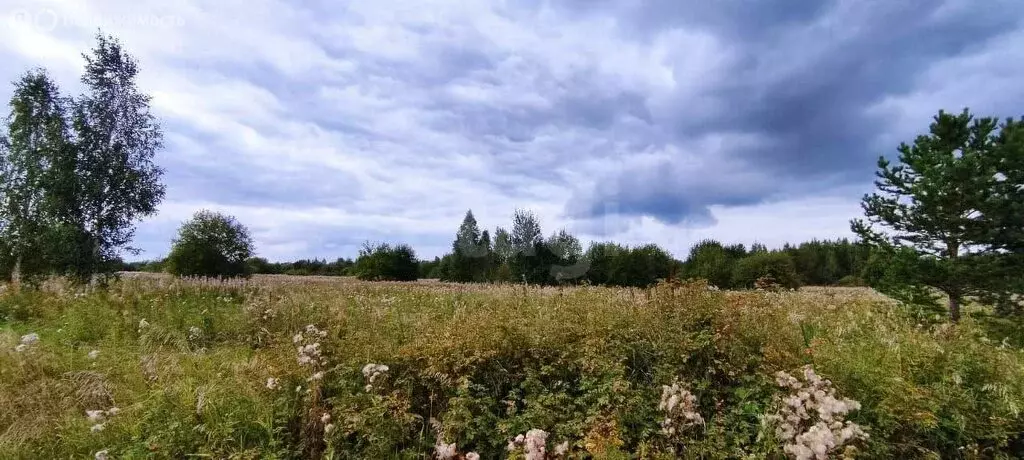 Участок в Горноуральский городской округ, посёлок Молодёжный, Луговая ... - Фото 0