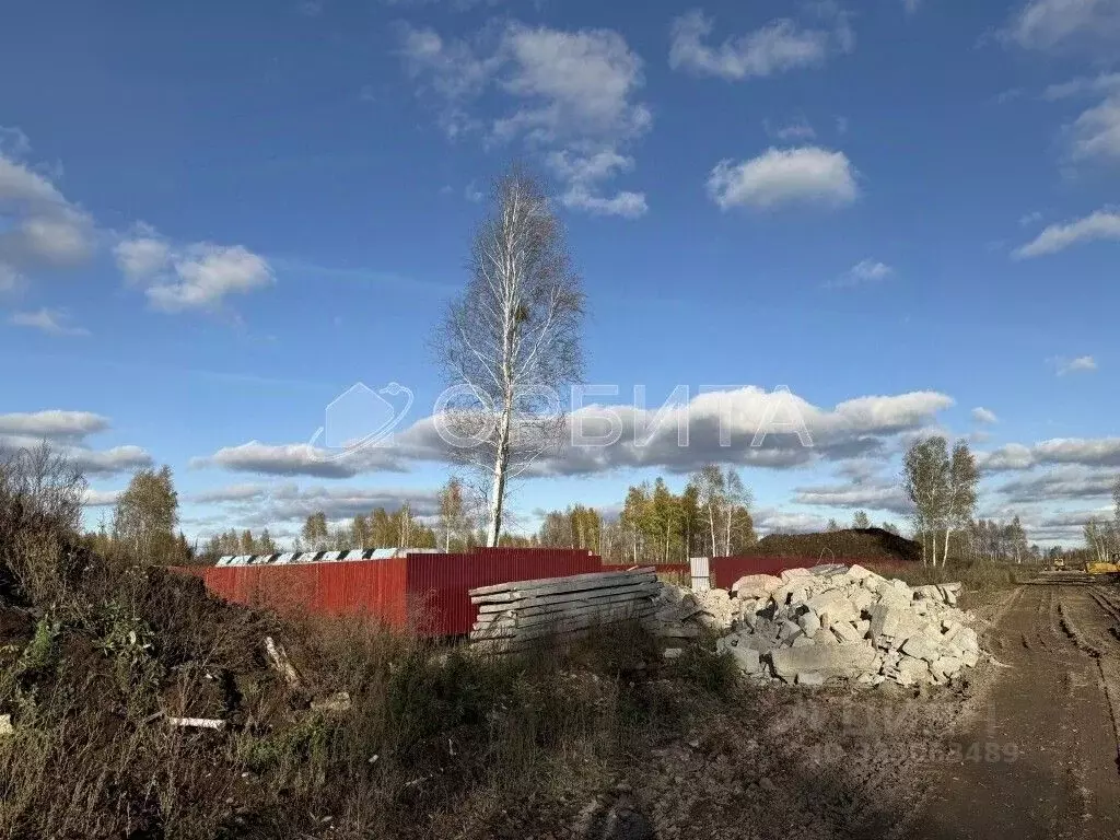 Участок в Тюменская область, Тюмень Велижанский тракт, 7-й км (50.0 ... - Фото 2