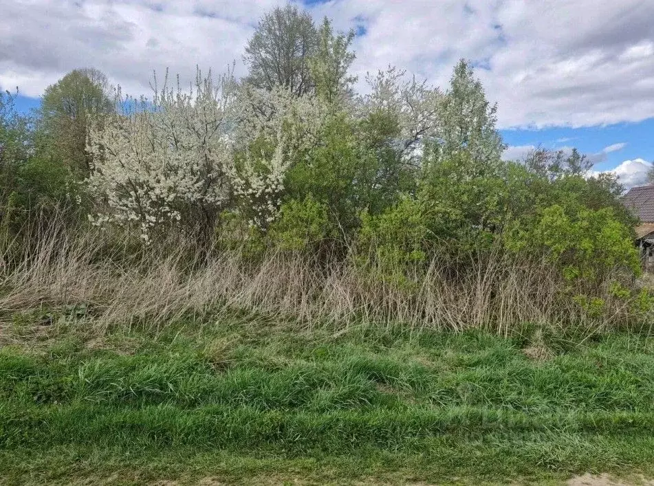 Участок в Московская область, Ступино городской округ, д. Малое ... - Фото 0