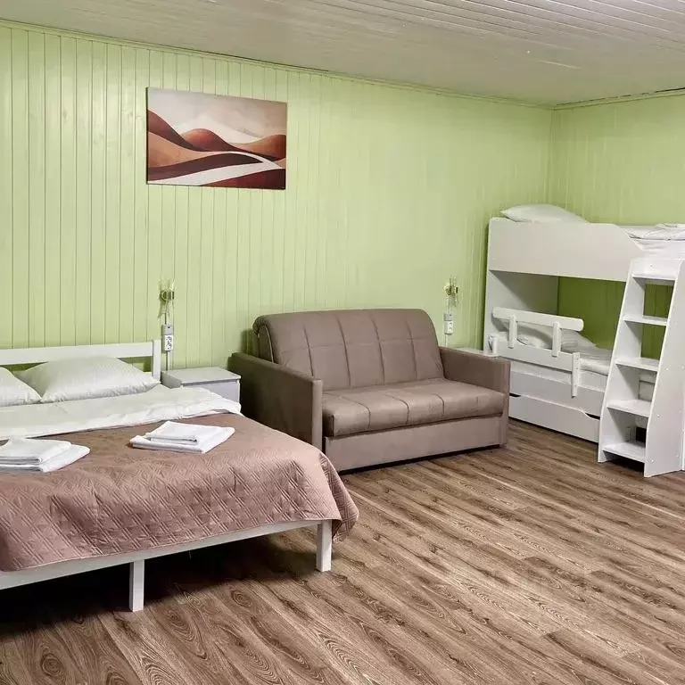 Дом в Нижегородская область, Чкаловск  (40 м) - Фото 2