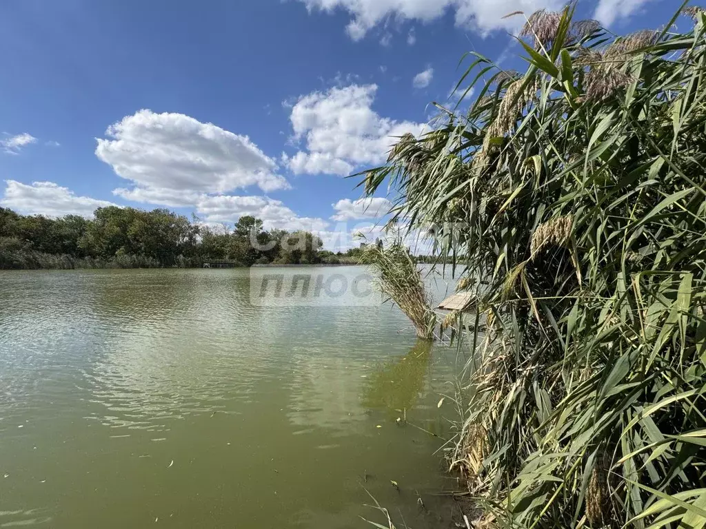Участок в Краснодарский край, Динской район, с. Красносельское, ... - Фото 2