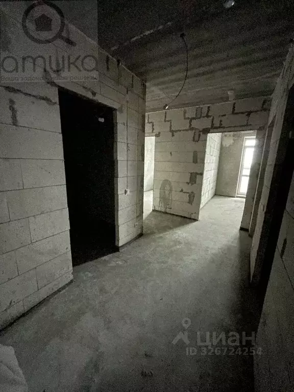 3-к кв. Пензенская область, Пензенский район, Засечный сельсовет, с. ... - Фото 2