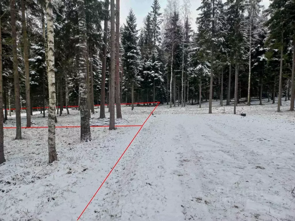 Участок в Ленинградская область, Выборгский район, Первомайское с/пос, ... - Фото 2