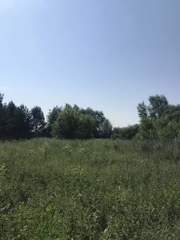 Участок в Челябинская область, Челябинский городской округ, пос. ... - Фото 0