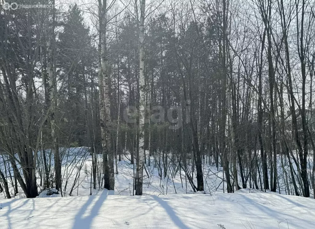 Участок в Московская область, Раменский муниципальный округ, КП ... - Фото 1