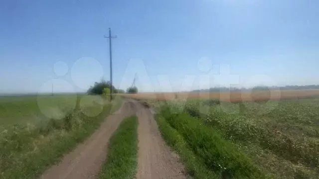 Участок 4 га (СНТ, ДНП) - Фото 1