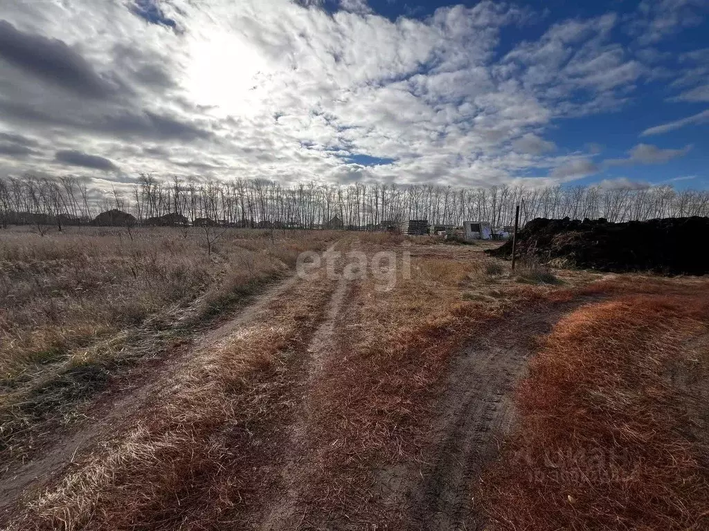 Участок в Омская область, Омский район, с. Усть-Заостровка Заозерная ... - Фото 1