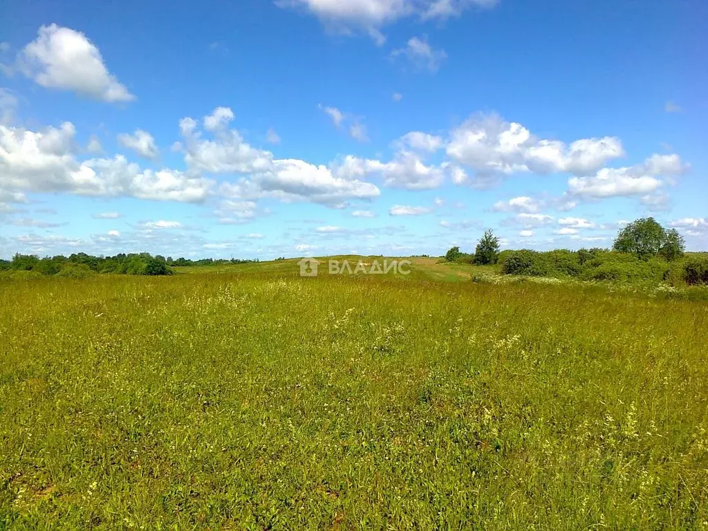 Участок в Ленинградская область, Ломоносовский район, Русско-Высоцкое ... - Фото 1