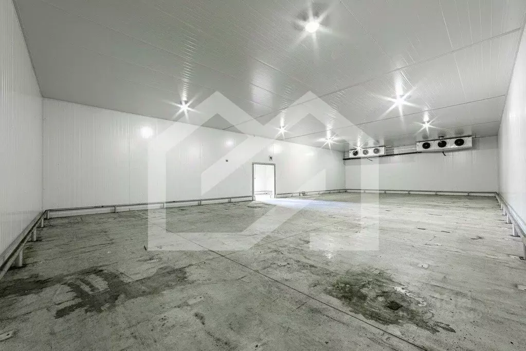 Производственное помещение в Московская область, Раменское ул. ... - Фото 1