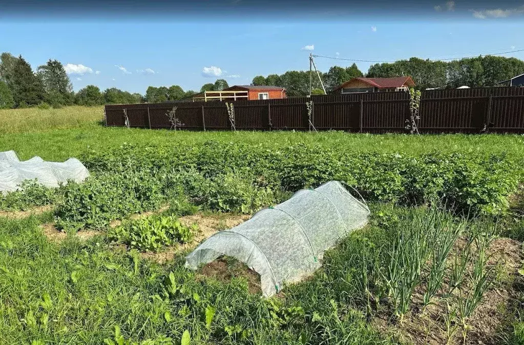 Участок в Ленинградская область, Гатчинский муниципальный округ, с. ... - Фото 2