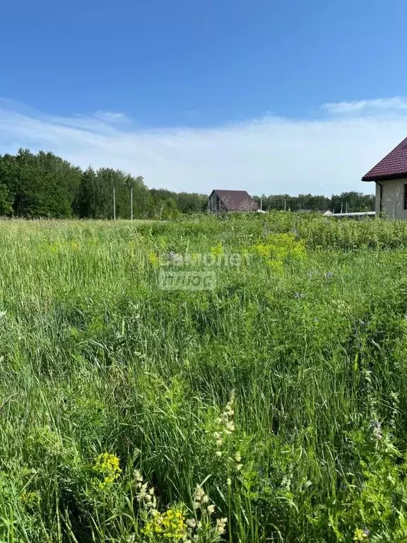 Участок в Башкортостан, Октябрьский Радужный мкр, ул. Янтарная (8.4 ... - Фото 0