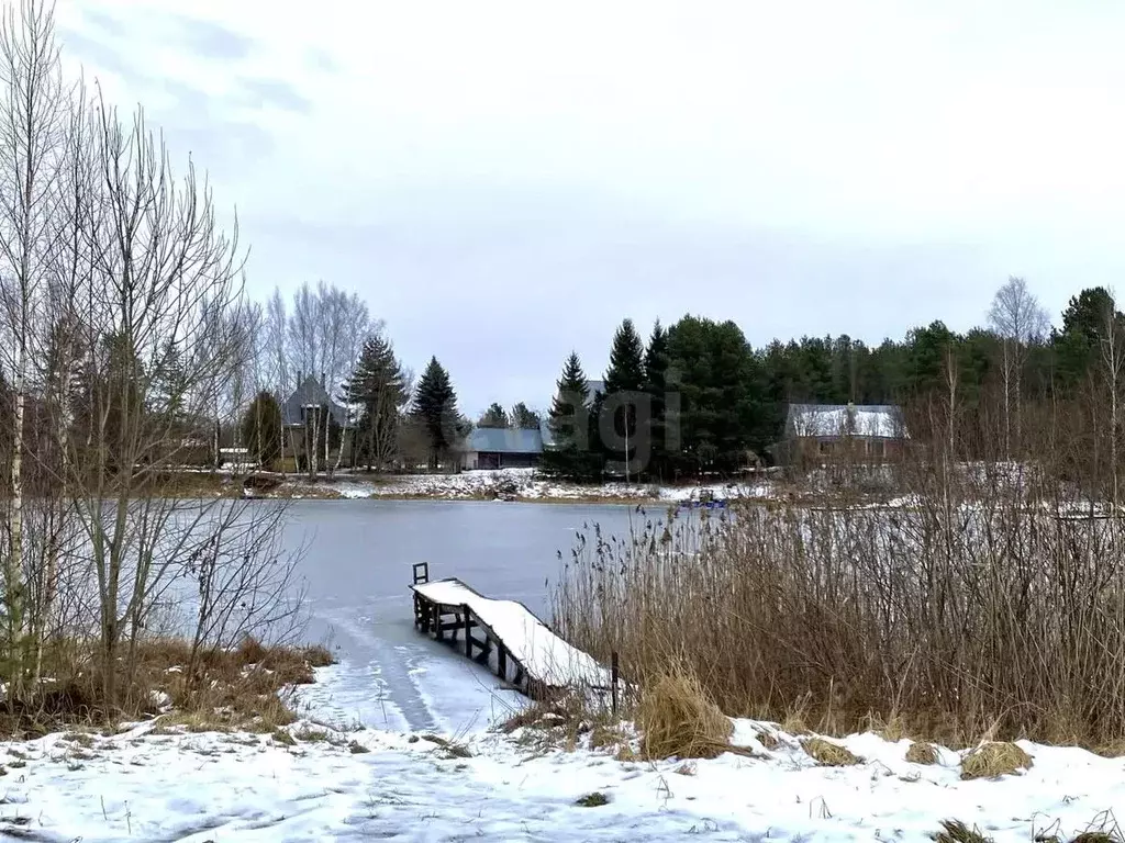 Участок в Псковская область, Печорский муниципальный округ, д. Зимний ... - Фото 1