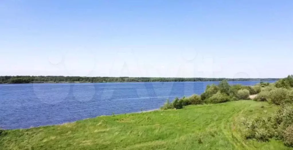 Участок в Пермский край, Пермский муниципальный округ, д. Луговая ... - Фото 2