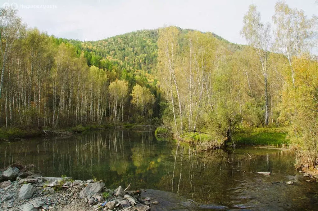 Участок в Усть-Коксинский район, село Тихонькая (80 м) - Фото 1