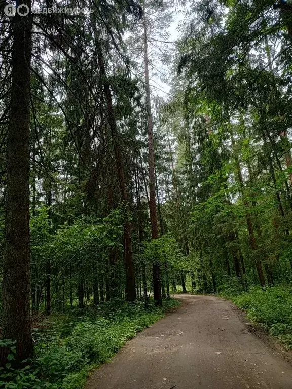 Участок в городской округ Калуга, посёлок Новый (12 м) - Фото 0