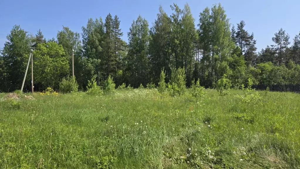 Участок в Ленинградская область, Приозерский район, пос. Сосново, ... - Фото 2