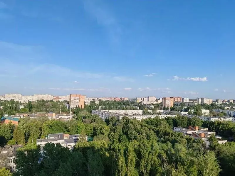 1-к кв. Самарская область, Тольятти 4-й кв-л, бул. Курчатова, 7 (35.8 ... - Фото 0