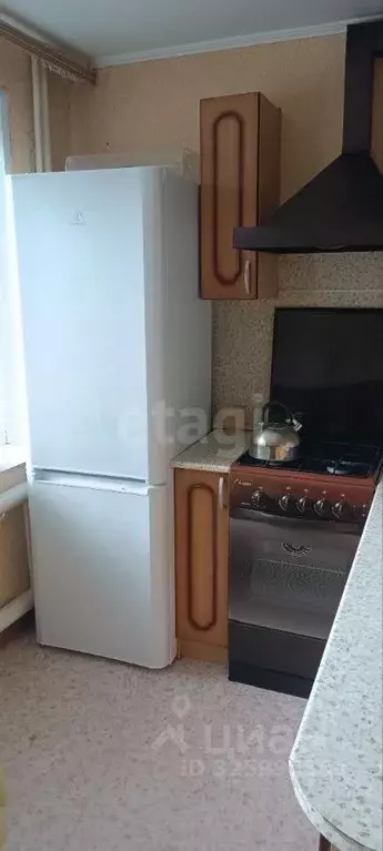 1-к кв. Пензенская область, Пенза ул. Кижеватова, 33 (33.2 м) - Фото 1