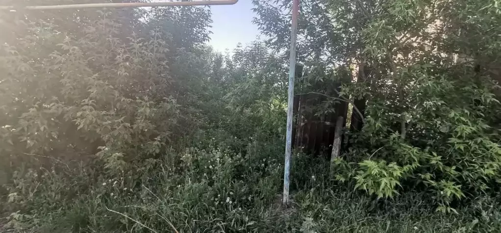 Участок в Татарстан, Заинск ул. 8 Марта (11.0 сот.) - Фото 2