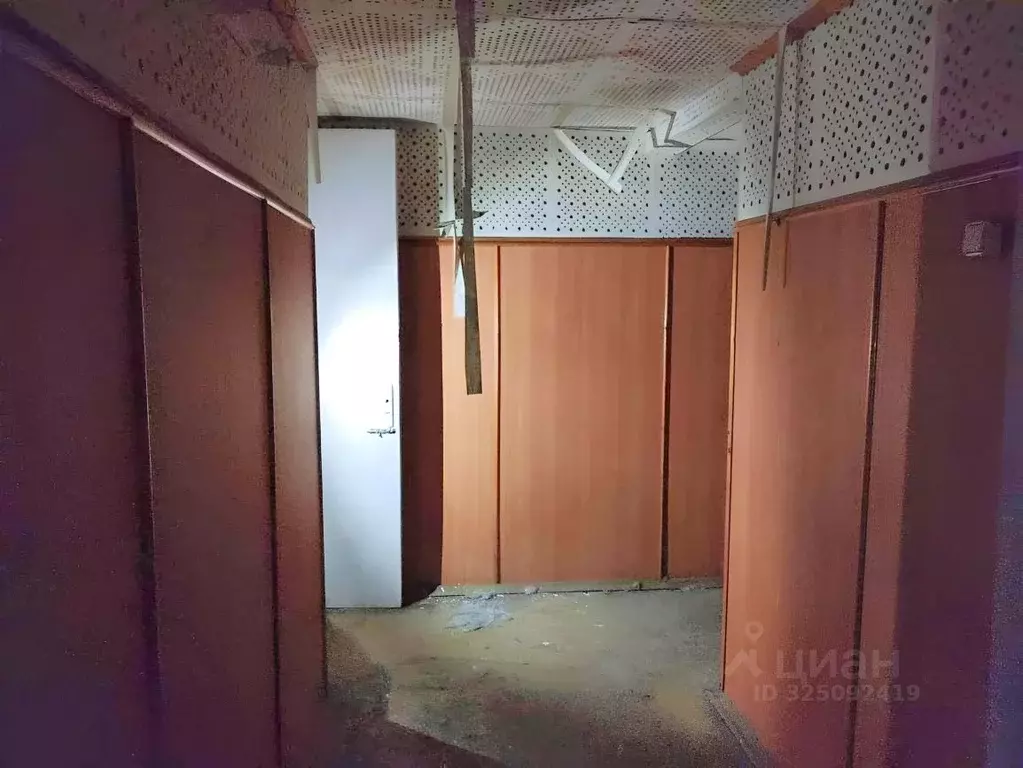 Помещение свободного назначения в Санкт-Петербург Кирочная ул., 37 ... - Фото 2