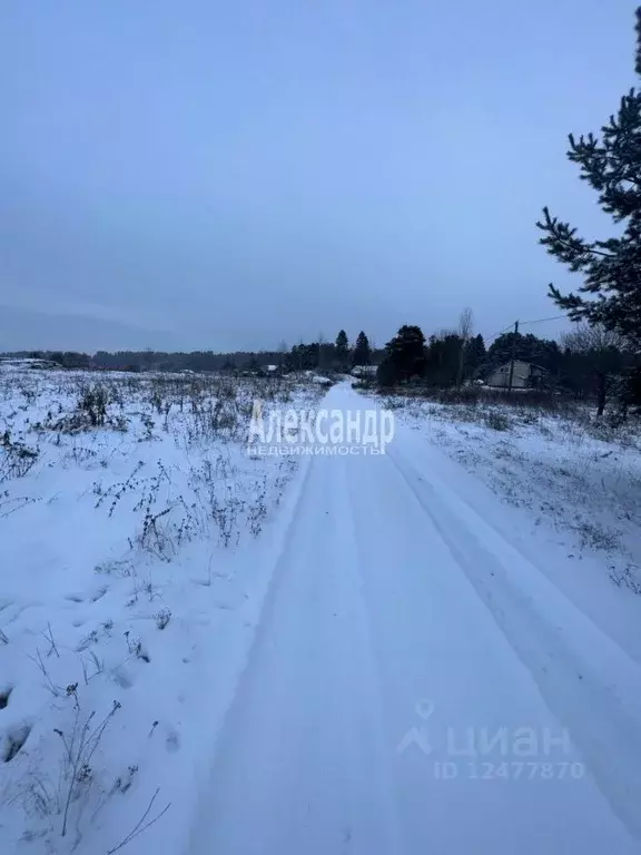 Участок в Ленинградская область, Выборгский район, Каменногорское ... - Фото 1