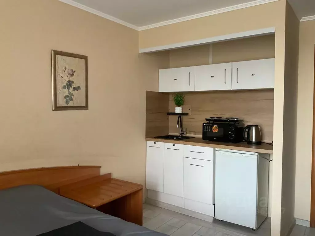 Студия Москва Алтуфьевское ш., 2К1 (19.0 м) - Фото 0