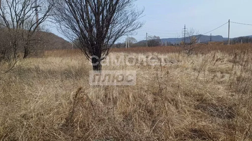 Участок в Приморский край, Шкотовский муниципальный округ, пос. ... - Фото 1