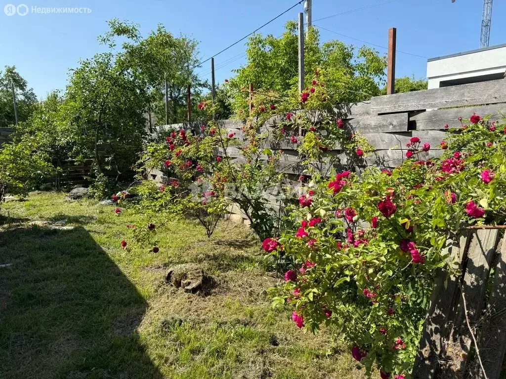 Участок в Калининград, СНТ Заря, Лиловая улица, 24 (4 м) - Фото 2