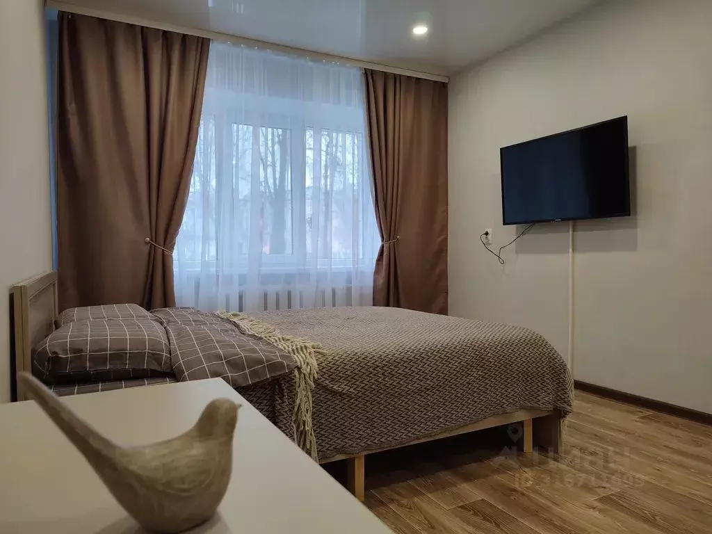 1-к кв. Псковская область, Псков наб. Реки Великой, 4 (34.0 м) - Фото 1