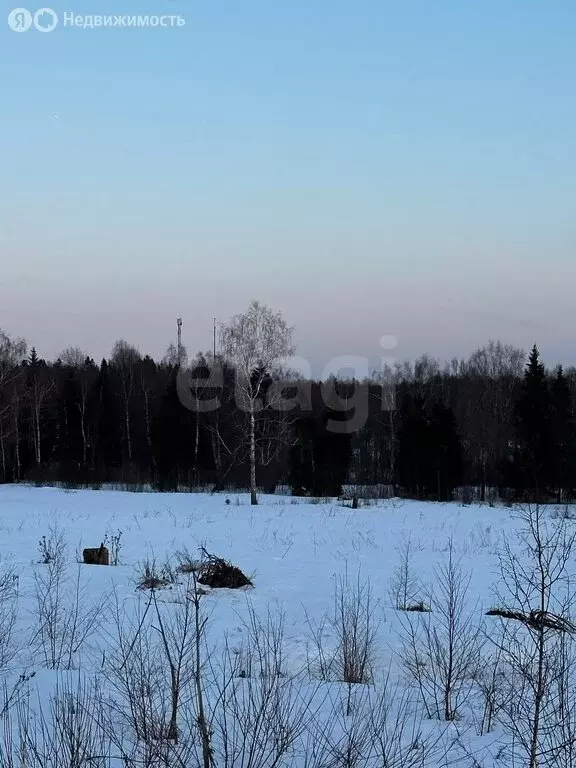 Участок в Московская область, Дмитровский муниципальный округ, деревня ... - Фото 2
