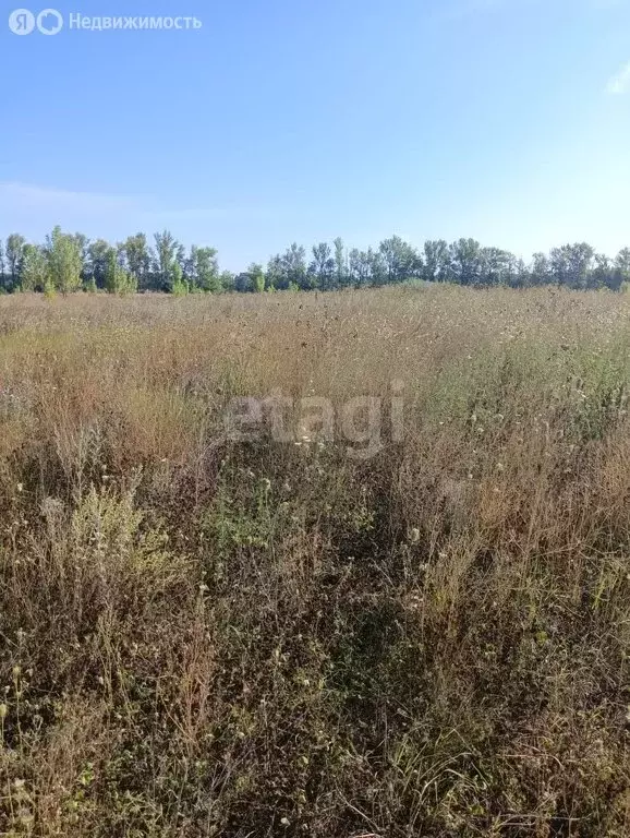 Участок в Старый Оскол, микрорайон Ладушки (1528 м) - Фото 1