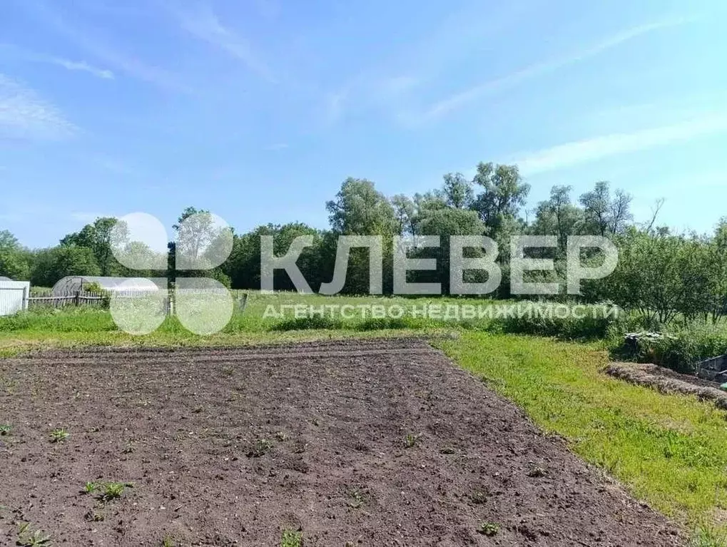 Дом в Пермский край, Чернушинский городской округ, д. Большой Березник ... - Фото 1