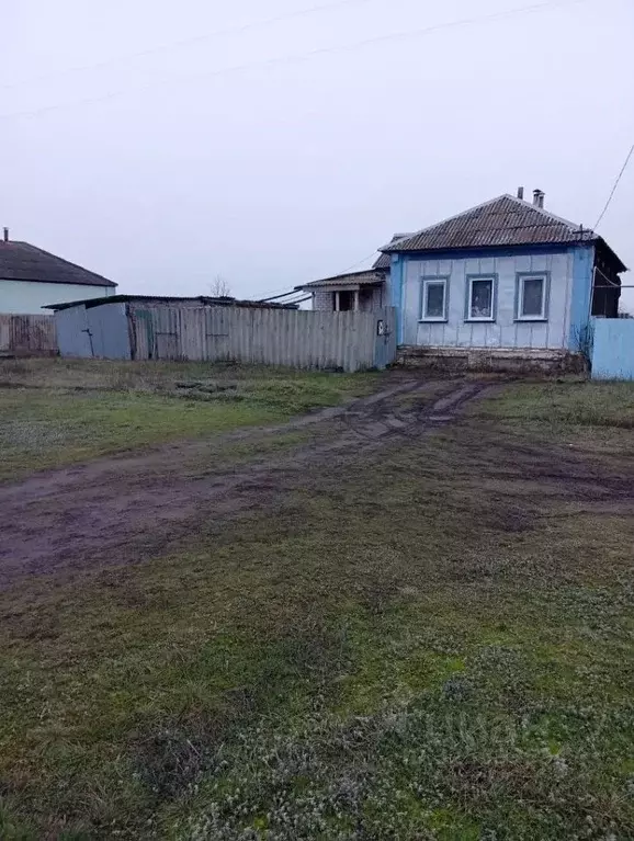 Дом в Воронежская область, Репьевское с/пос, Дракино хут. ул. ... - Фото 1
