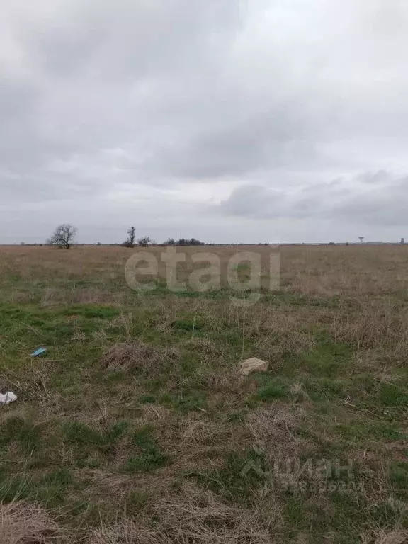 Участок в Крым, Евпатория Садовод садовое товарищество, ул. Лиманная ... - Фото 1