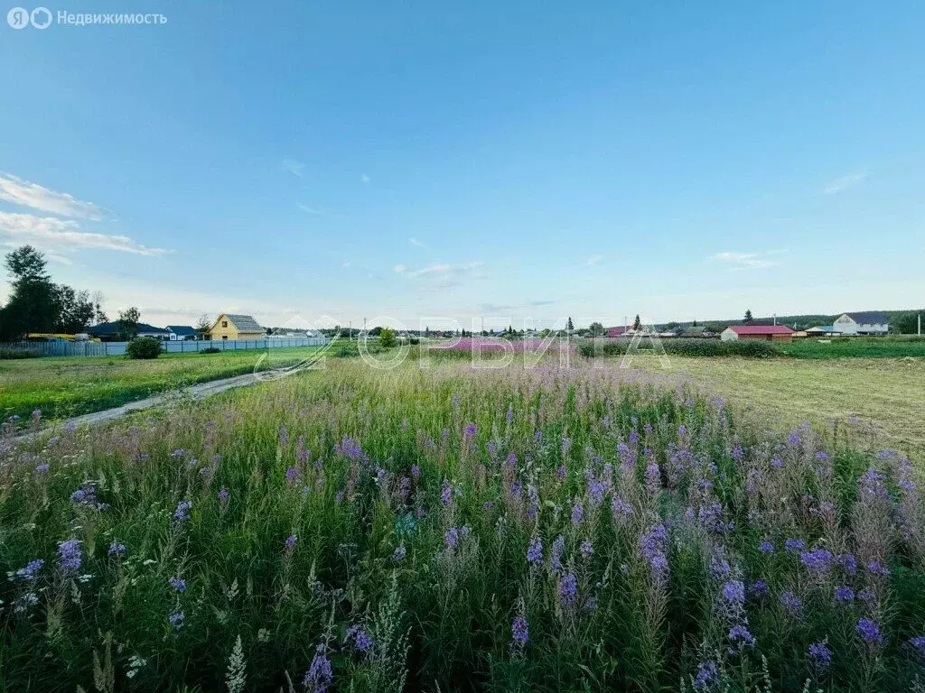 Участок в Тюменский район, село Мичурино (15 м) - Фото 1