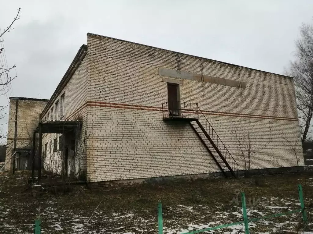 Помещение свободного назначения в Брянская область, Клинцовский район, ... - Фото 0