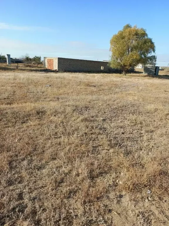 Участок в Волгоградская область, Иловлинское городское поселение, ... - Фото 2