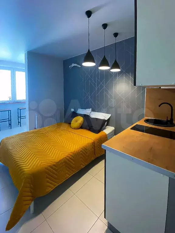 Квартира-студия, 24,1 м, 17/17 эт. - Фото 1