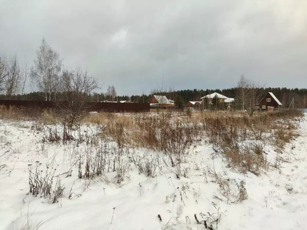 Участок в Московская область, Орехово-Зуевский городской округ, д. ... - Фото 1