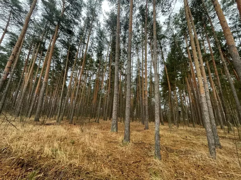 Участок в Тамбовская область, Тамбов Рассказовское ш. (14.57 сот.) - Фото 0